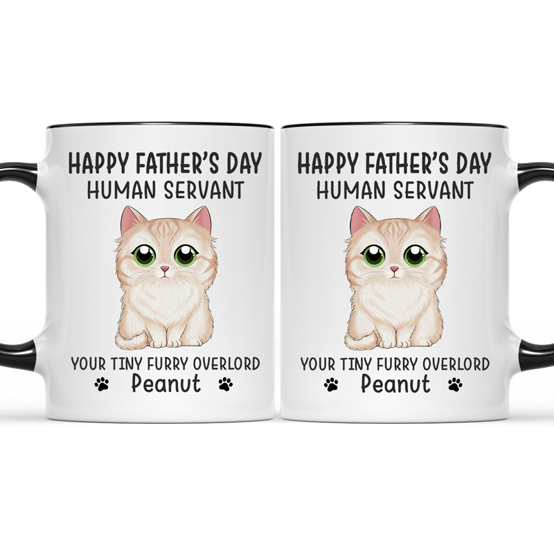 Custom Name Funny Cat Gifts for Cat Lovers - Personalized Accent Mugs