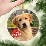 Custom Pet Photo Christmas Gifts for Dog Lovers - Personalized Ceramic Ornament