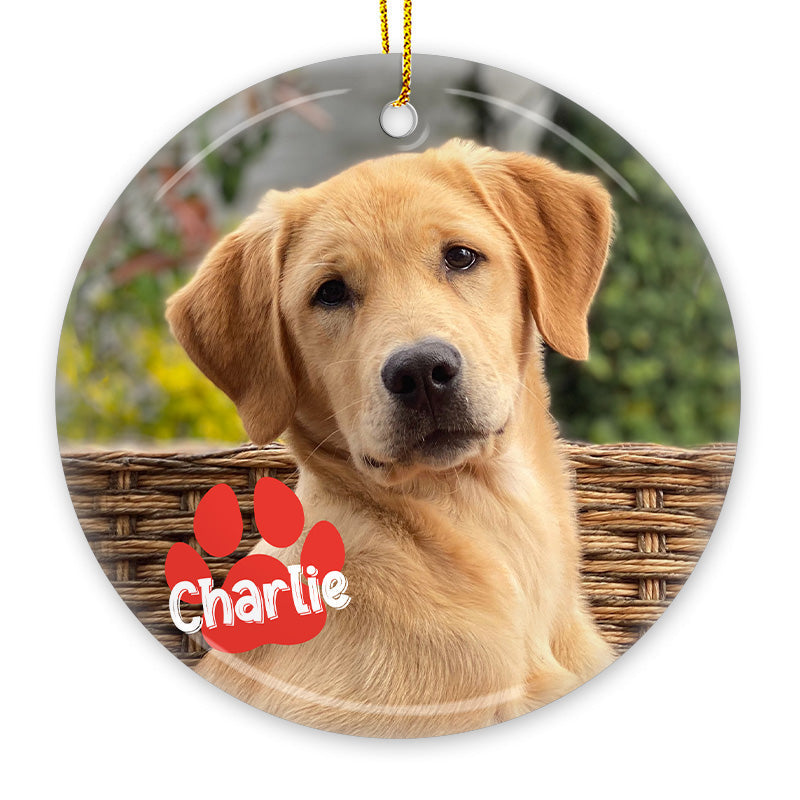 Custom Pet Photo Christmas Gifts for Dog Lovers - Personalized Ceramic Ornament