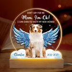 Custom Name Pet Memorial Gifts for Dog Lovers - Personalized 3D LED Light