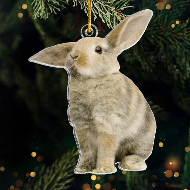 Custom Photo Rabbit Christmas Gifts for Bunny Lovers - Personalized Ornament