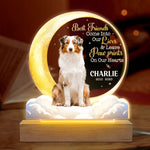 Custom Pet Photo Memorial Gifts for Dog Lovers - Personalized 3D LED Light