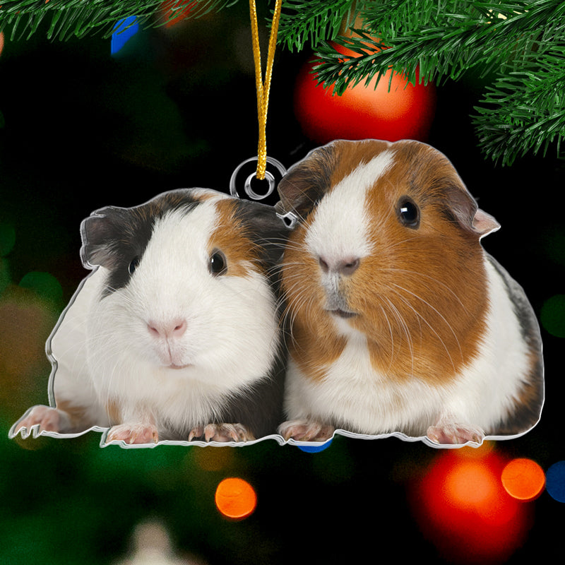 Custom Pet Photo Guinea Pig Christmas Gifts - Personalized Ornament