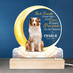 Custom Pet Photo Memorial Gifts for Dog Lovers - Personalized 3D LED Light