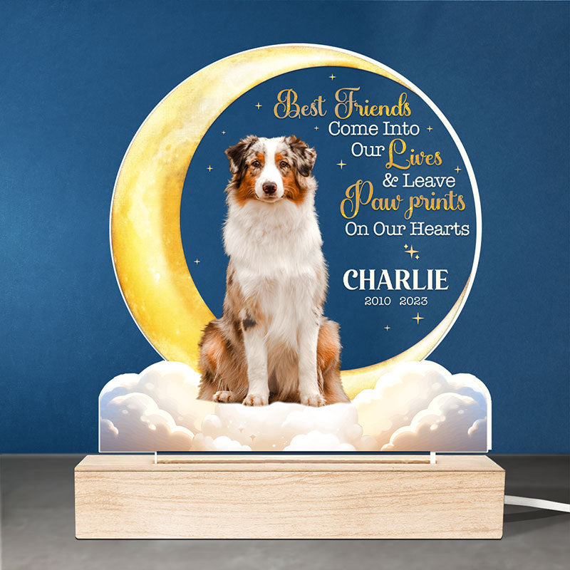 Custom Pet Photo Memorial Gifts for Dog Lovers - Personalized 3D LED Light