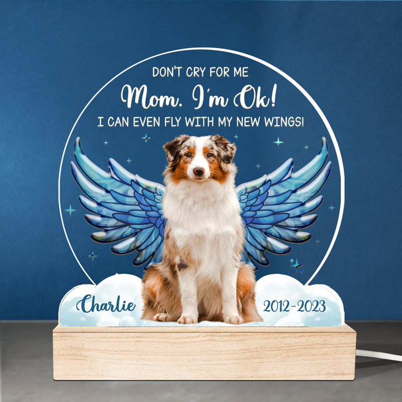 Custom Name Pet Memorial Gifts for Dog Lovers - Personalized 3D LED Light