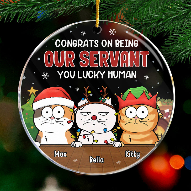 Custom Name Funny Christmas Cat Gifts - Personalized Ornament