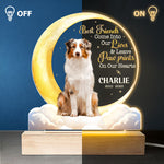 Custom Pet Photo Memorial Gifts for Dog Lovers - Personalized 3D LED Light