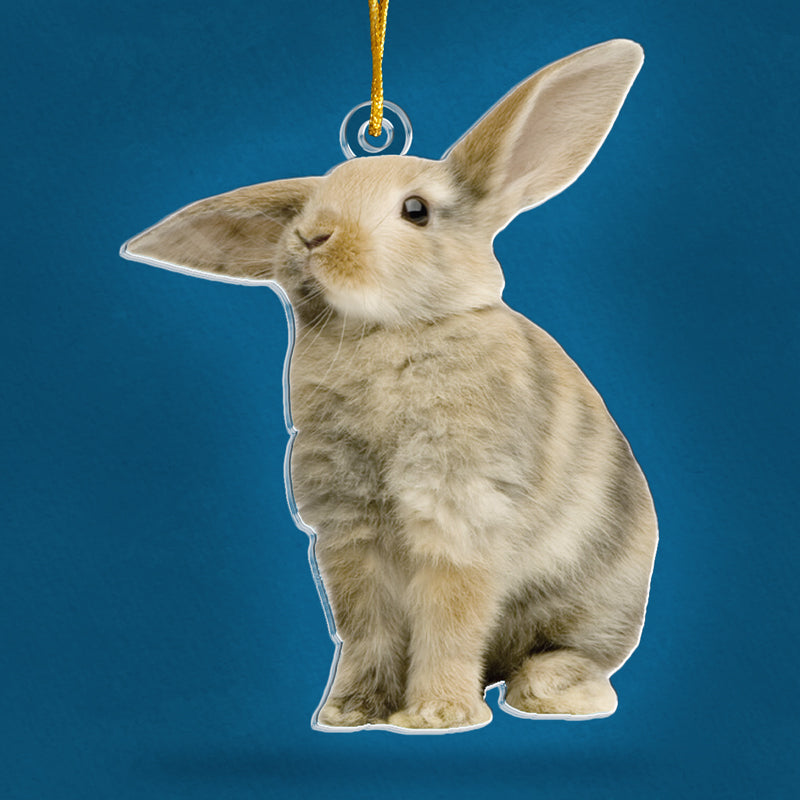Custom Photo Rabbit Christmas Gifts for Bunny Lovers - Personalized Ornament