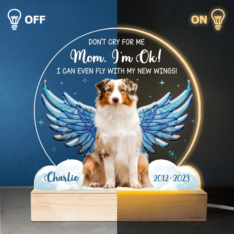 Custom Name Pet Memorial Gifts for Dog Lovers - Personalized 3D LED Light