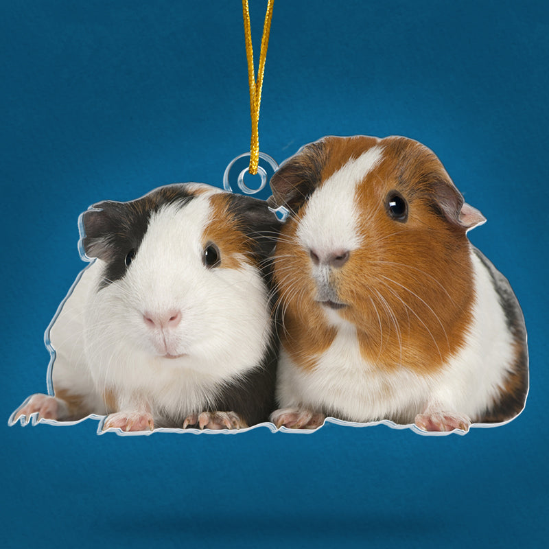 Custom Pet Photo Guinea Pig Christmas Gifts - Personalized Ornament