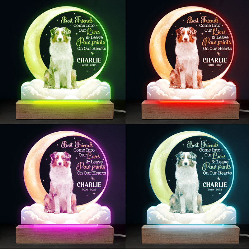 Custom Pet Photo Memorial Gifts for Dog Lovers - Personalized 3D LED Light