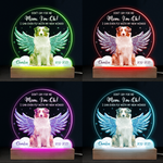 Custom Name Pet Memorial Gifts for Dog Lovers - Personalized 3D LED Light