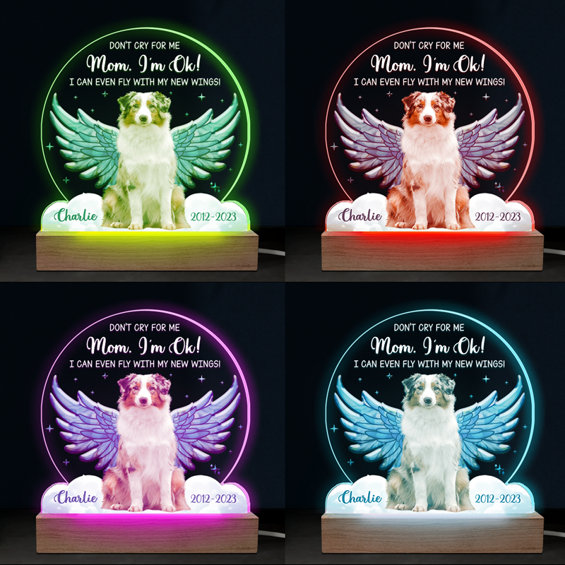 Custom Photo I Can Even Fly With My New Wings - Memorial Personalized Custom Shaped 3D LED Light - Sympathy Gift For Pet Owners, Pet Lovers