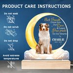 Custom Pet Photo Memorial Gifts for Dog Lovers - Personalized 3D LED Light