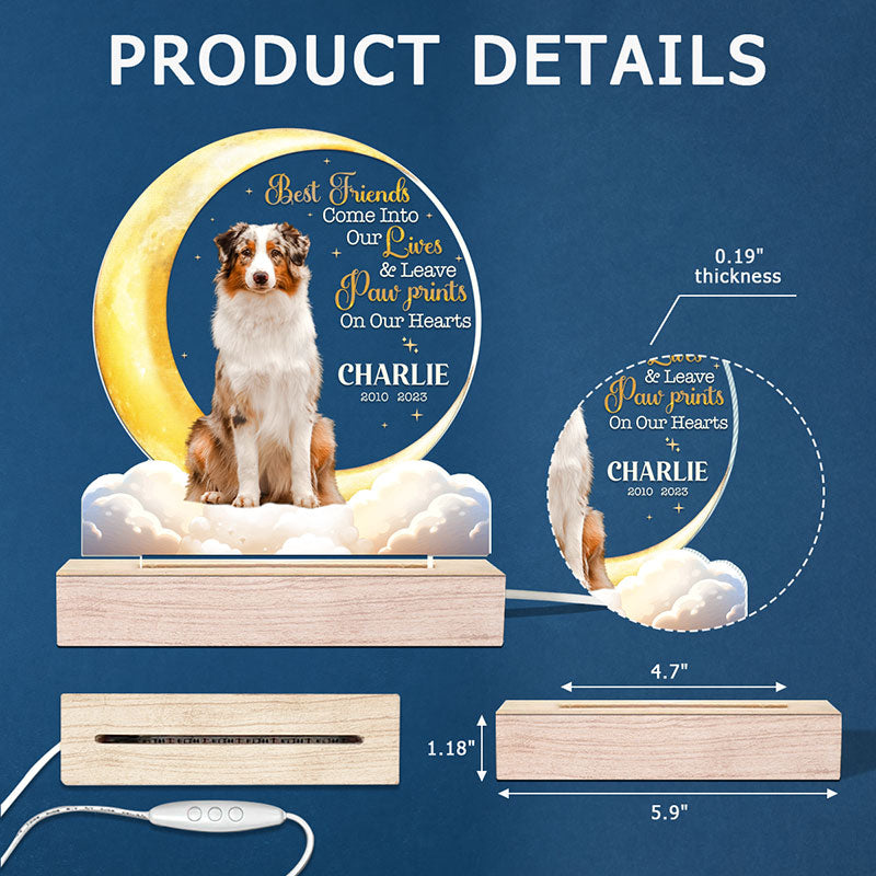 Custom Pet Photo Memorial Gifts for Dog Lovers - Personalized 3D LED Light