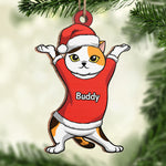 Custom Name Christmas Cat Gifts for Pet Lovers - Personalized Ornament